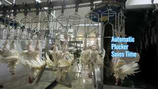 ناتف التلقائي