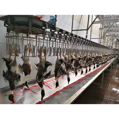 خط نقل آلة الذبح الآلية للدجاج البطة الأوز 220 فولت / 380 فولت