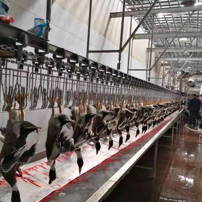 معدات ذبح الدواجن المعتمدة بمعايير المواصفات المعتمدة بمعايير المواصفات المعتمدة بمعايير المواصفات المعتمدة بمعايير المواصفات المعتمدة