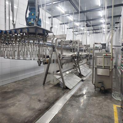 220V / 380V معدات ذبح الدواجن الحلال لذبح الدجاج 500 كيلوغرام