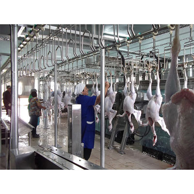 معدات ذبح الدجاج من الفولاذ المقاوم للصدأ 304 بجهد 380 فولت وسهولة الصيانة