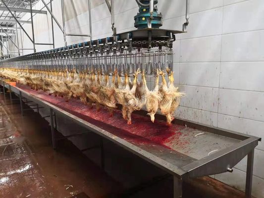 1000 دجاجة في الساعة (Bph) مصنع ذبح كامل لخط تصنيع الدواجن المصغر