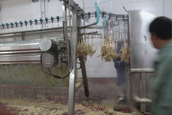 آلة تقطيع الدجاج الدواجن الصغيرة المذبحات الدواجن ((بولوس) معالجة اللحوم معالجة الدجاج