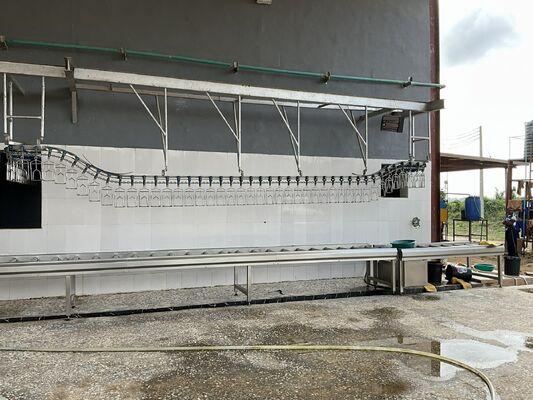 خط معالجة الدواجن ذو الكفاءة العالية معتمد على الحلال لـ 1000 طائر في الساعة